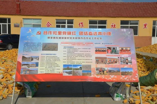 虎山鎮(zhèn)召開 作風(fēng)大改進(jìn) 問(wèn)題大整改 工作大提升 行動(dòng)推進(jìn)會(huì)